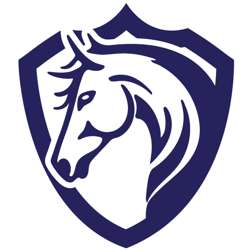 Lancing Equestrian Testimonials - Lancing Equestrian